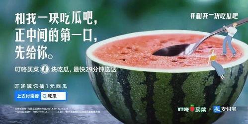 开始吃瓜的文案,揭秘网络“吃瓜”文化的兴起与魅力