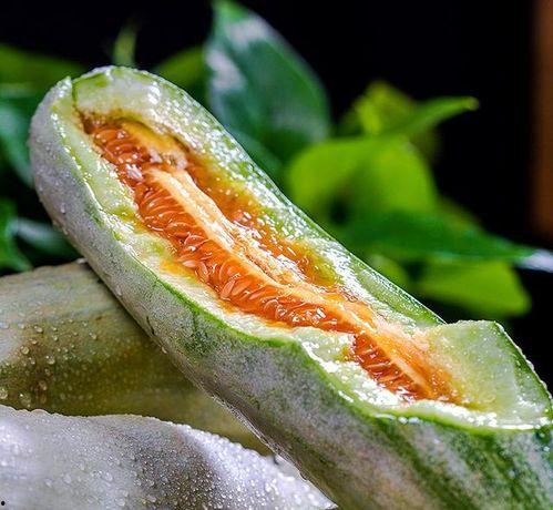 胃肠炎可以吃羊角脆瓜吗,胃肠炎患者适宜食用羊角脆瓜