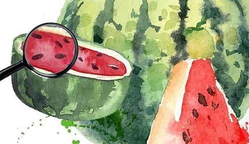 吃瓜的素养,吃瓜群众视角下的明星生活