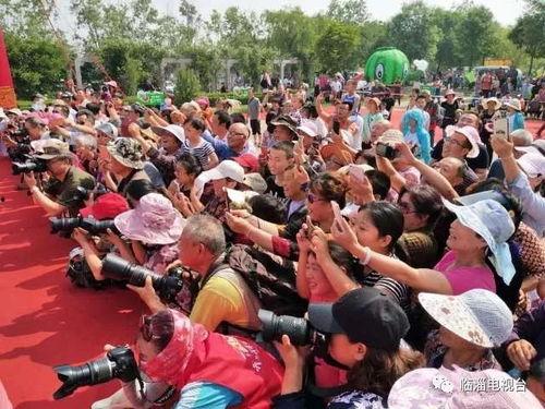 稷下吃瓜群众,吃瓜群众视角下的时事解读