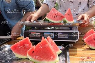 聊城吃瓜最新,揭秘背后真相与网络舆论风暴