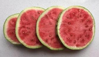 新乡学吃瓜,揭秘地方特色美食背后的故事