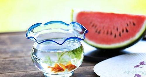 黑暗料理吃瓜爆料,一场味蕾与胃部的冒险之旅