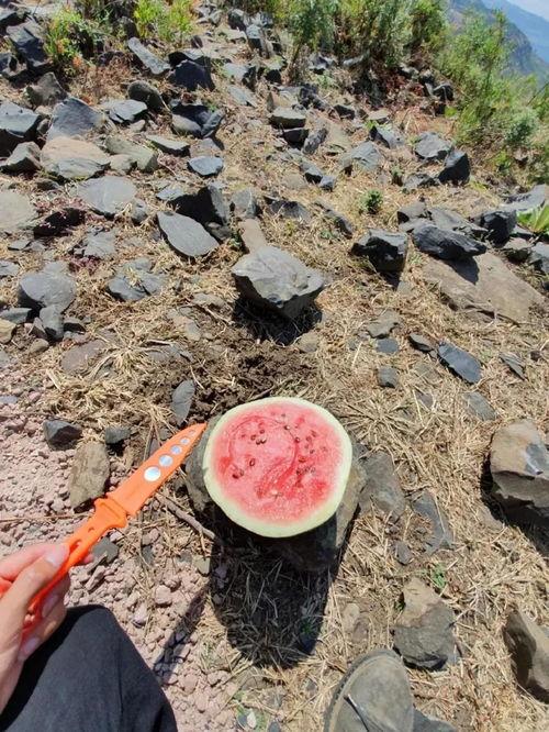 山上吃瓜视频,揭秘网红“山上吃瓜”视频背后的故事