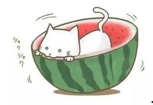 吃瓜看球的教练,教练视角下的体育盛宴