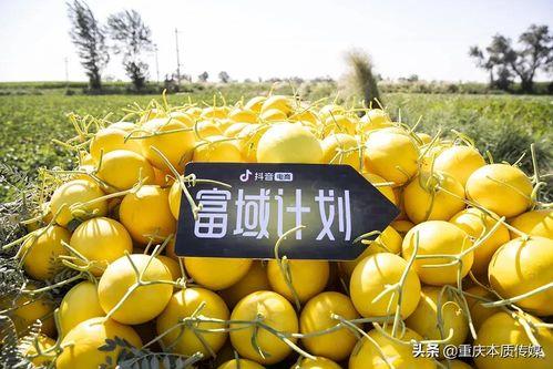 抖音太和吃瓜,揭秘网络热点的背后故事