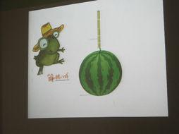 看青蛙吃瓜,瓜果飘香中的美味探索