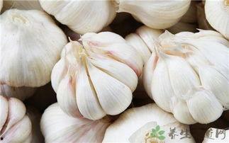 胃感冒吃角瓜,天然食疗新选择