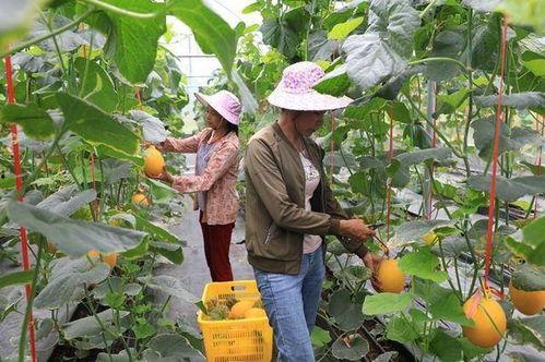 济南吃瓜网红地,一网打尽地道美食与市井风情