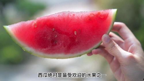 血糖升高可以吃瓜吗,吃瓜需谨慎？揭秘瓜类对血糖的影响