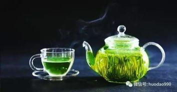 吃瓜看绿茶,网络现象背后的心理与社会解读