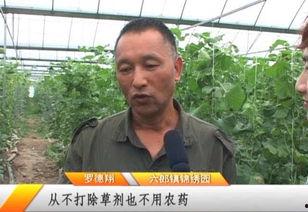 六郎吃瓜,揭秘娱乐圈背后的那些事儿